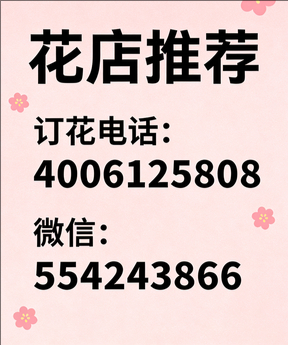 石家庄桥东区花店哪家好